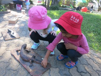 Museum Loan Exploration