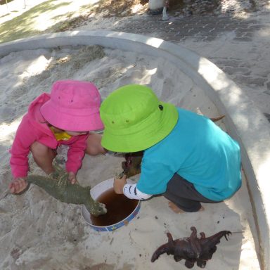 Feeding the Wildlife