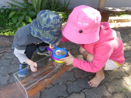 Museum Loan Inspections